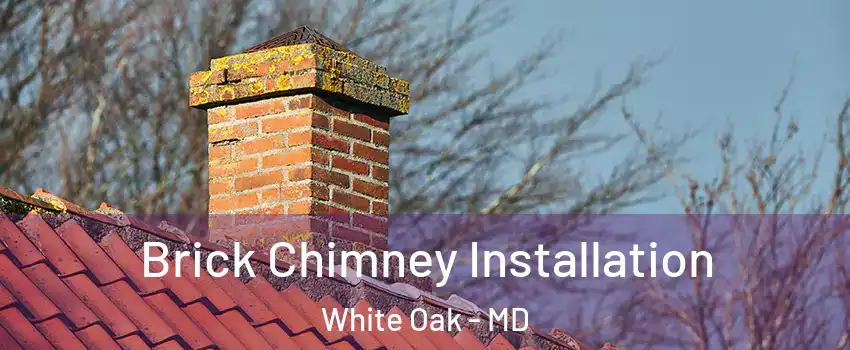  Brick Chimney Installation White Oak - MD