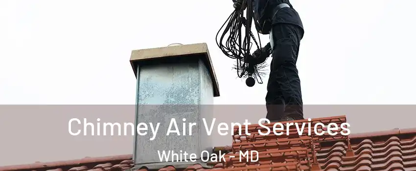  Chimney Air Vent Services White Oak - MD