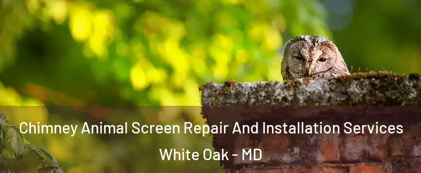  Chimney Animal Screen Repair And Installation Services White Oak - MD