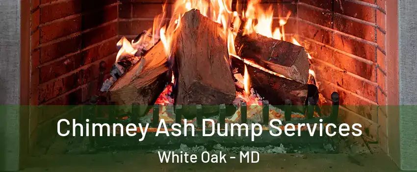  Chimney Ash Dump Services White Oak - MD