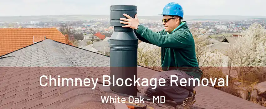  Chimney Blockage Removal White Oak - MD