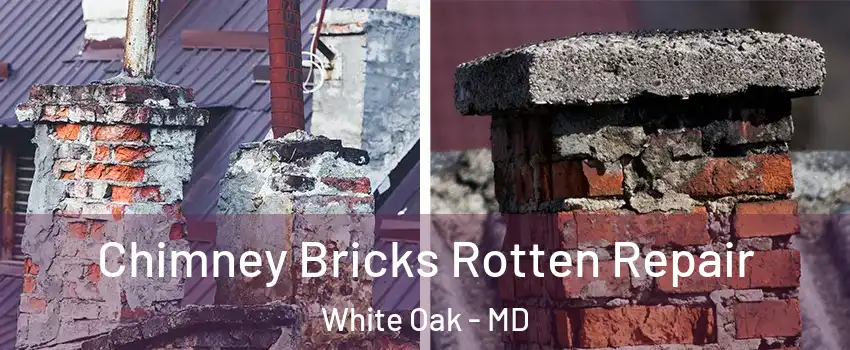  Chimney Bricks Rotten Repair White Oak - MD