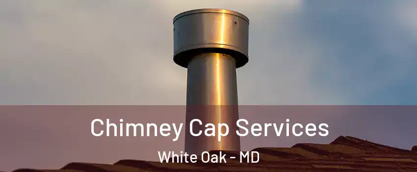  Chimney Cap Services White Oak - MD