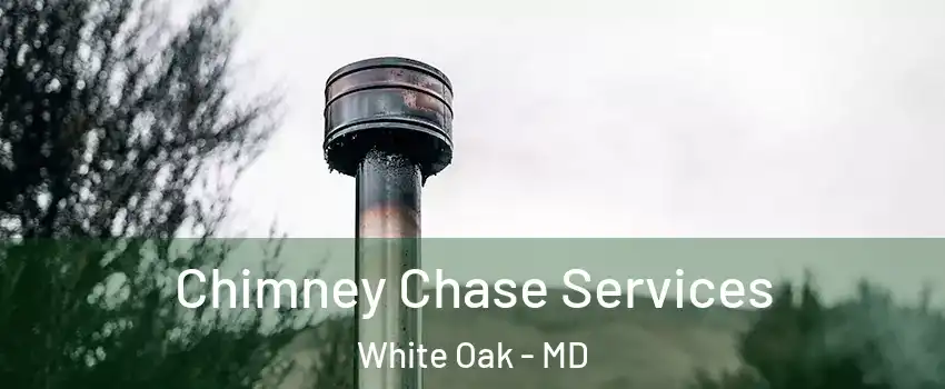  Chimney Chase Services White Oak - MD