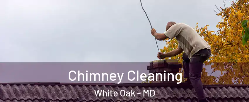  Chimney Cleaning White Oak - MD
