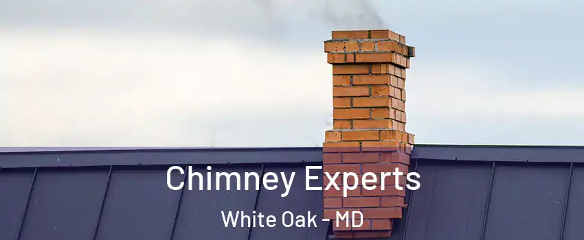  Chimney Experts White Oak - MD