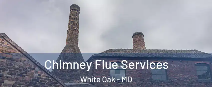 Chimney Flue Services White Oak - MD
