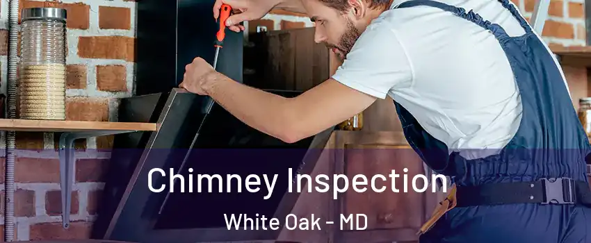  Chimney Inspection White Oak - MD