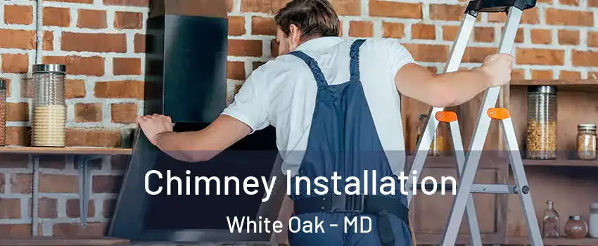  Chimney Installation White Oak - MD