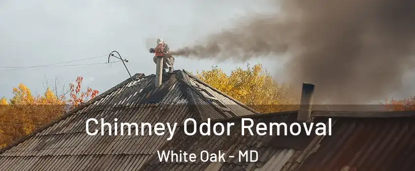  Chimney Odor Removal White Oak - MD