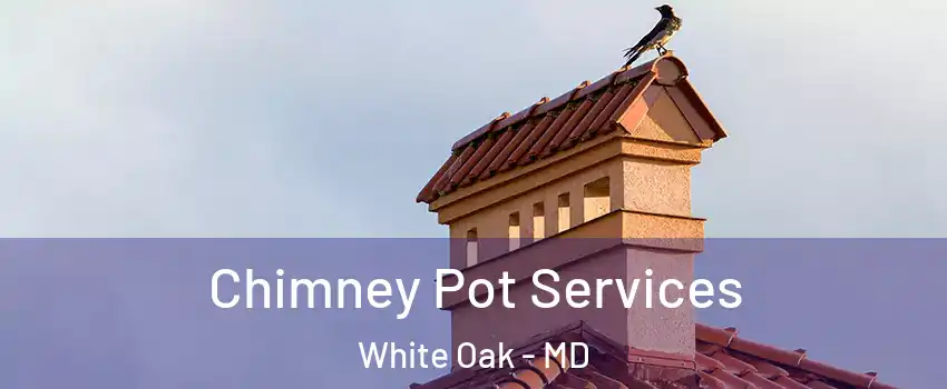  Chimney Pot Services White Oak - MD