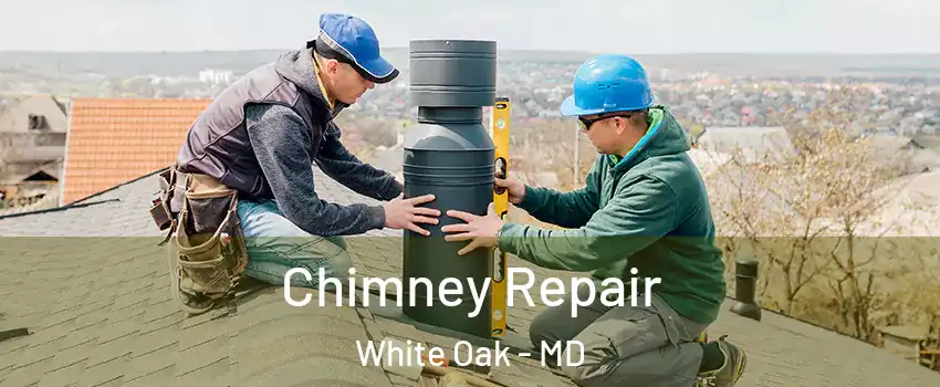  Chimney Repair White Oak - MD