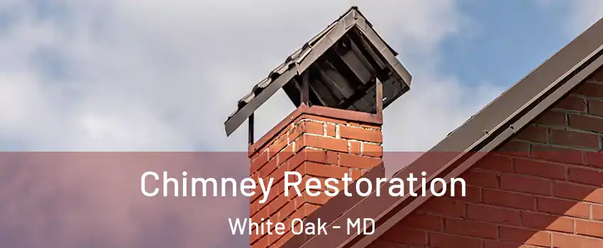  Chimney Restoration White Oak - MD