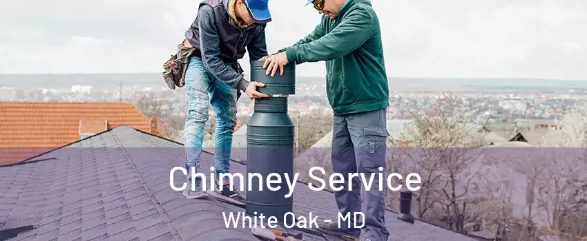  Chimney Service White Oak - MD