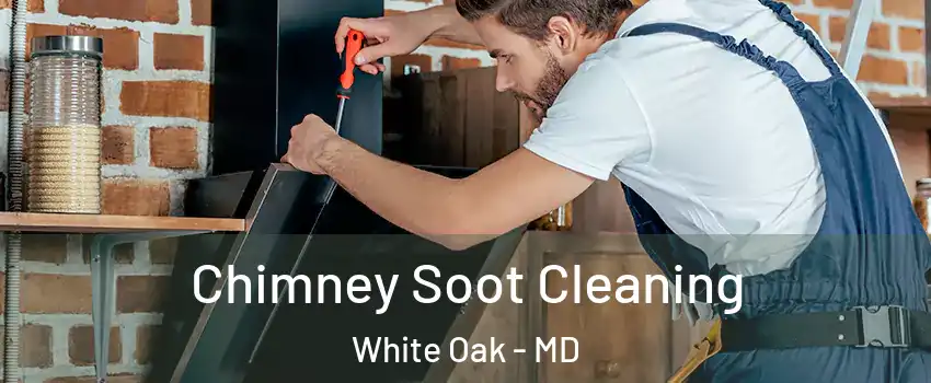  Chimney Soot Cleaning White Oak - MD