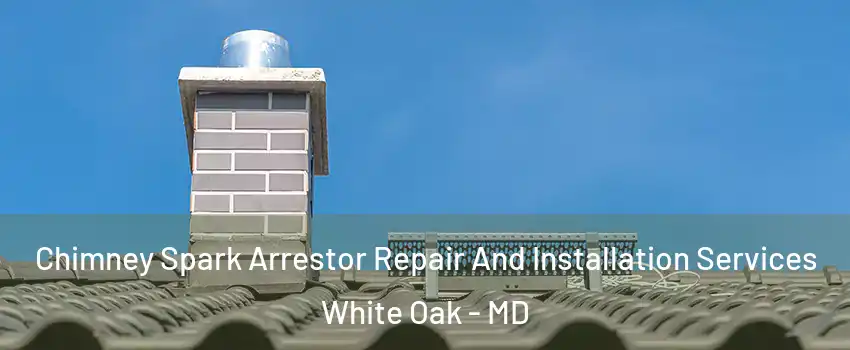  Chimney Spark Arrestor Repair And Installation Services White Oak - MD