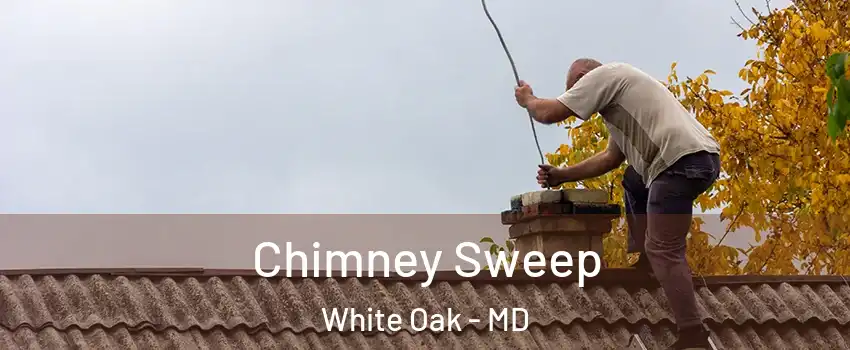  Chimney Sweep White Oak - MD