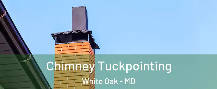  Chimney Tuckpointing White Oak - MD
