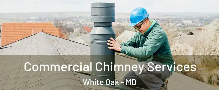  Commercial Chimney Services White Oak - MD