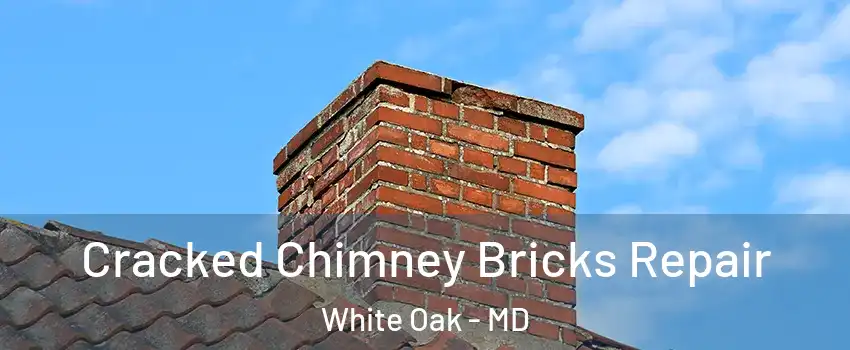  Cracked Chimney Bricks Repair White Oak - MD