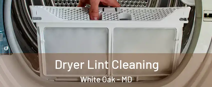  Dryer Lint Cleaning White Oak - MD