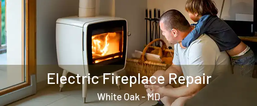  Electric Fireplace Repair White Oak - MD