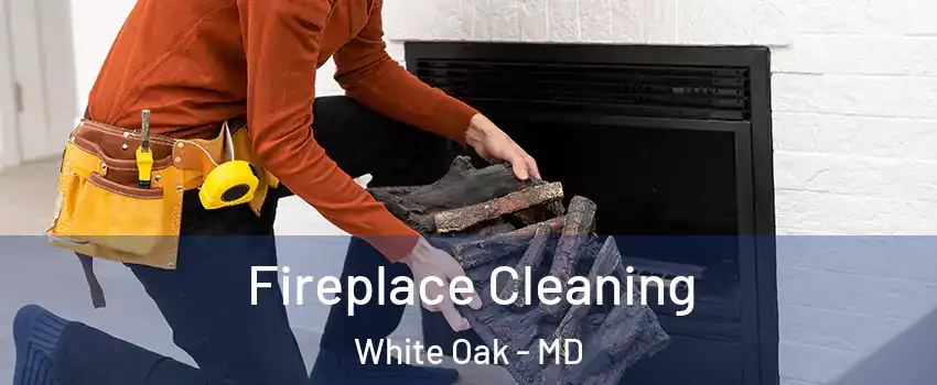  Fireplace Cleaning White Oak - MD