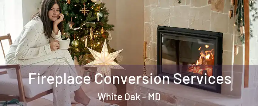  Fireplace Conversion Services White Oak - MD
