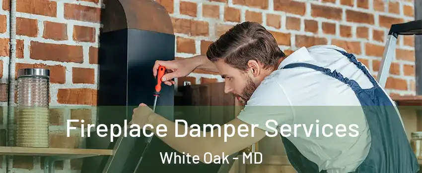  Fireplace Damper Services White Oak - MD