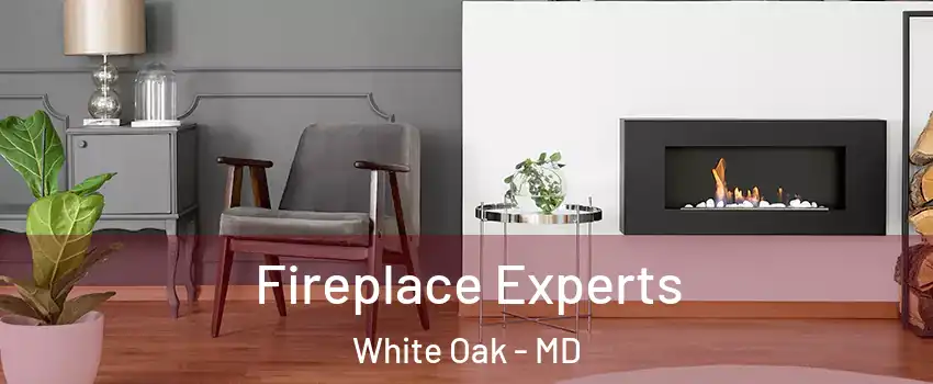  Fireplace Experts White Oak - MD
