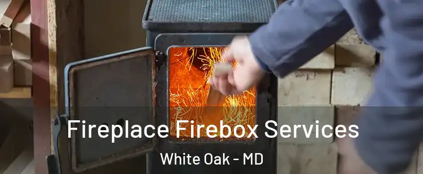  Fireplace Firebox Services White Oak - MD