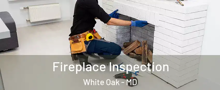  Fireplace Inspection White Oak - MD