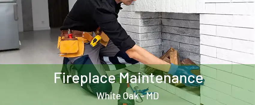  Fireplace Maintenance White Oak - MD