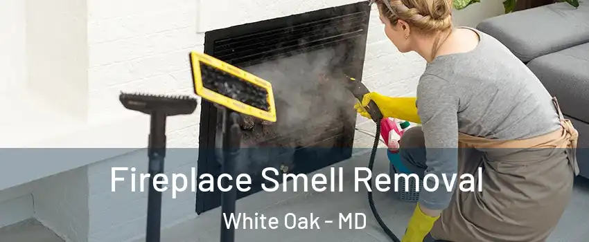  Fireplace Smell Removal White Oak - MD