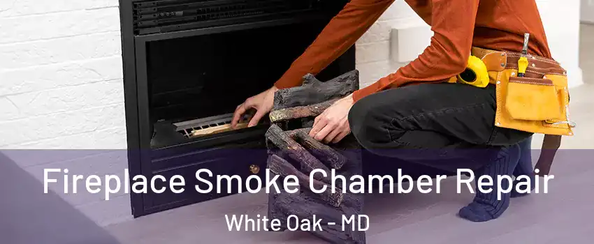  Fireplace Smoke Chamber Repair White Oak - MD