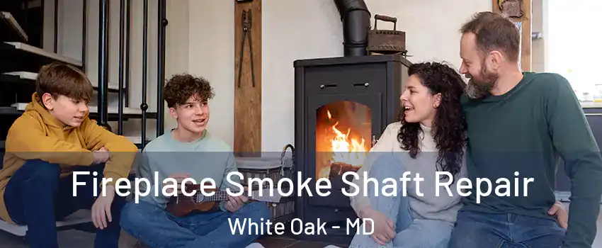  Fireplace Smoke Shaft Repair White Oak - MD