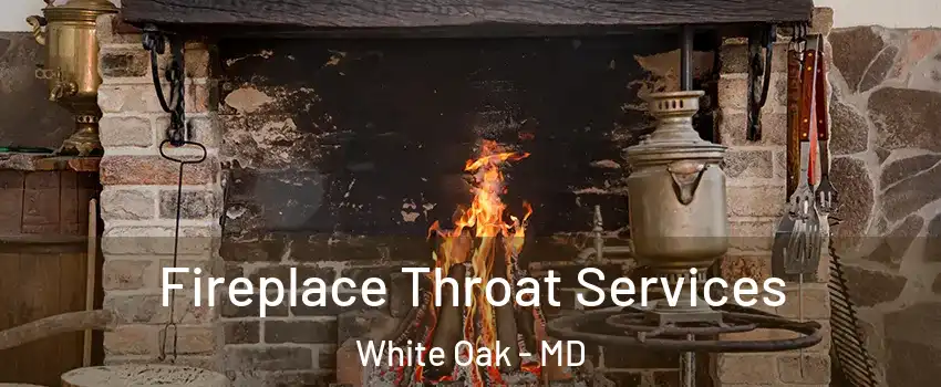  Fireplace Throat Services White Oak - MD