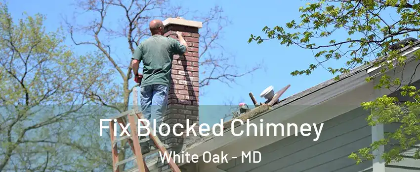  Fix Blocked Chimney White Oak - MD