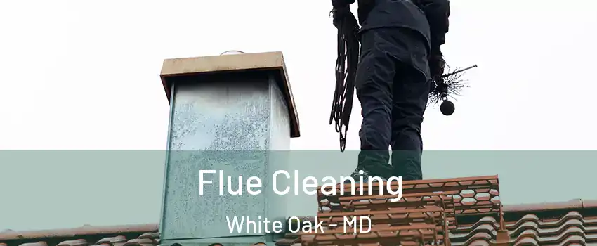  Flue Cleaning White Oak - MD
