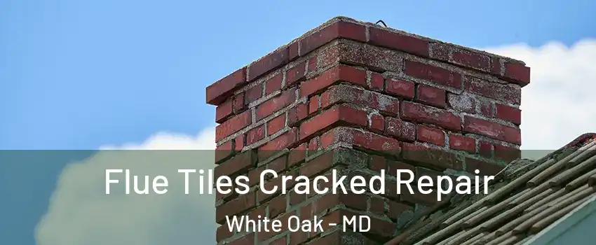  Flue Tiles Cracked Repair White Oak - MD