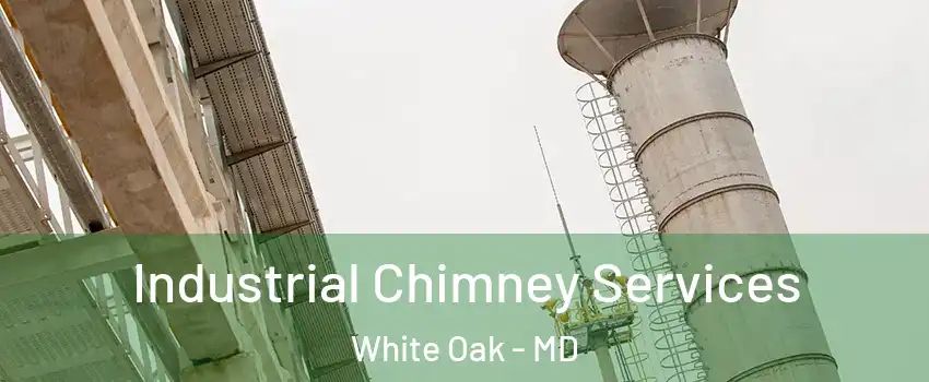  Industrial Chimney Services White Oak - MD