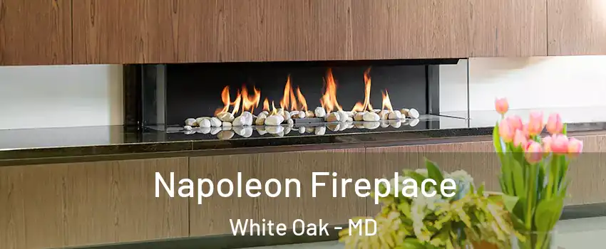  Napoleon Fireplace White Oak - MD