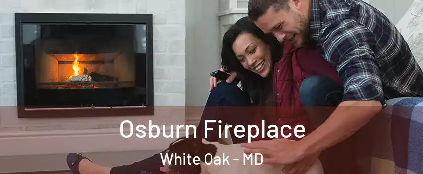  Osburn Fireplace White Oak - MD