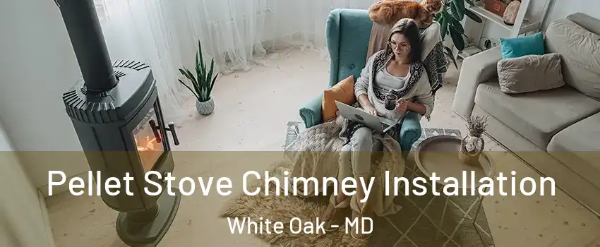  Pellet Stove Chimney Installation White Oak - MD