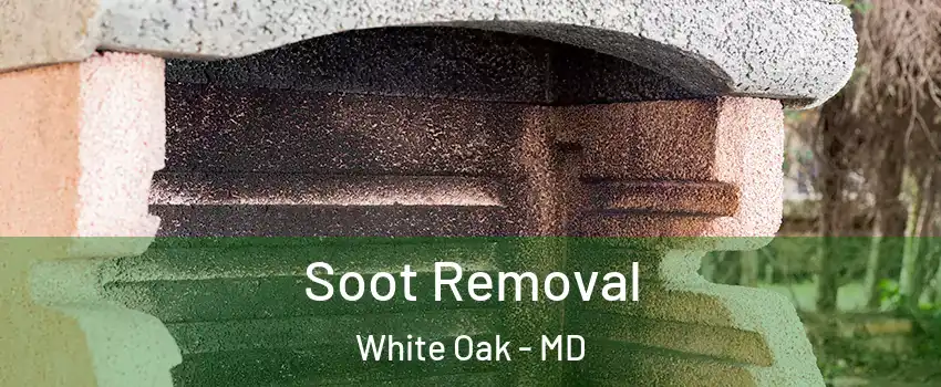  Soot Removal White Oak - MD